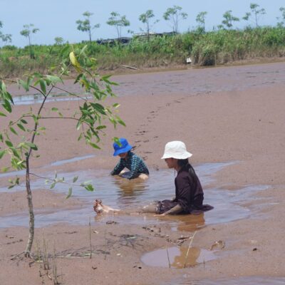 Ramsar Xuân Thủy (2 ngày 1 đêm)