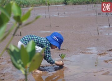 Ramsar Xuân Thủy (2 ngày 1 đêm)