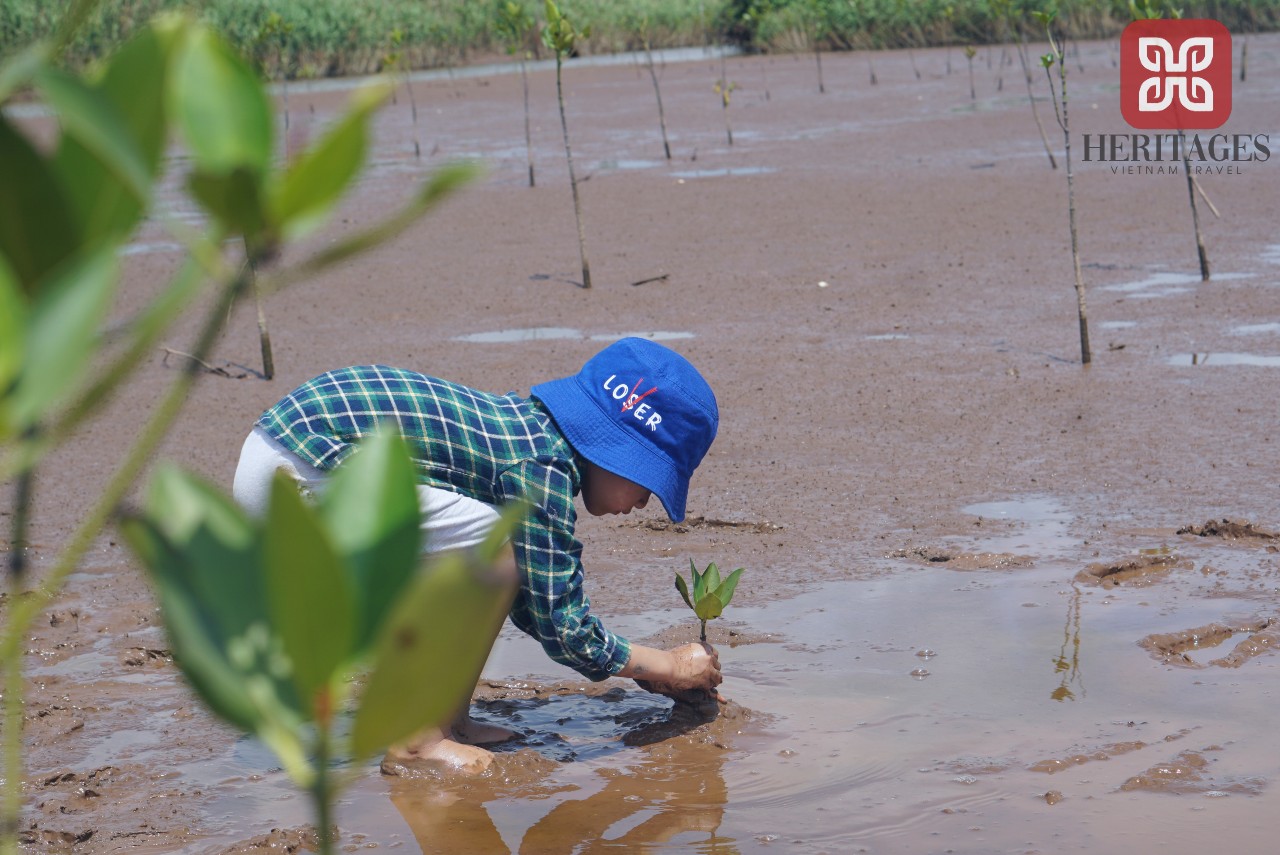 Tour Học Sinh